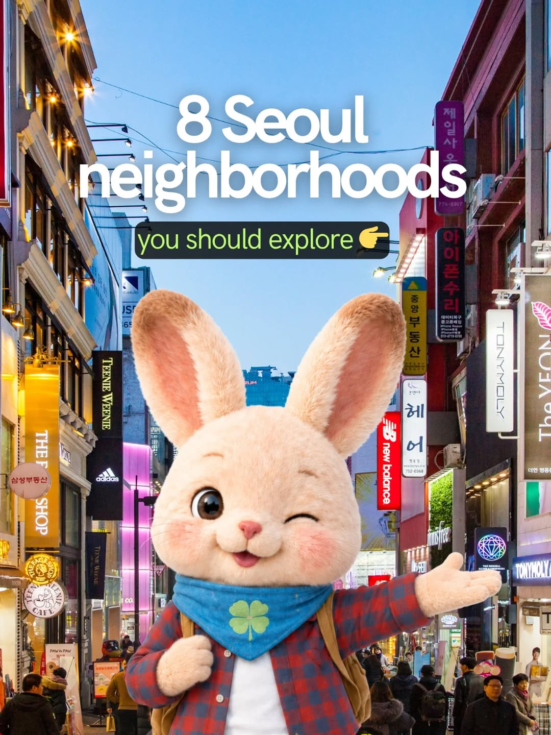 SSOLUCK 쏠럭, Ssamziegil
