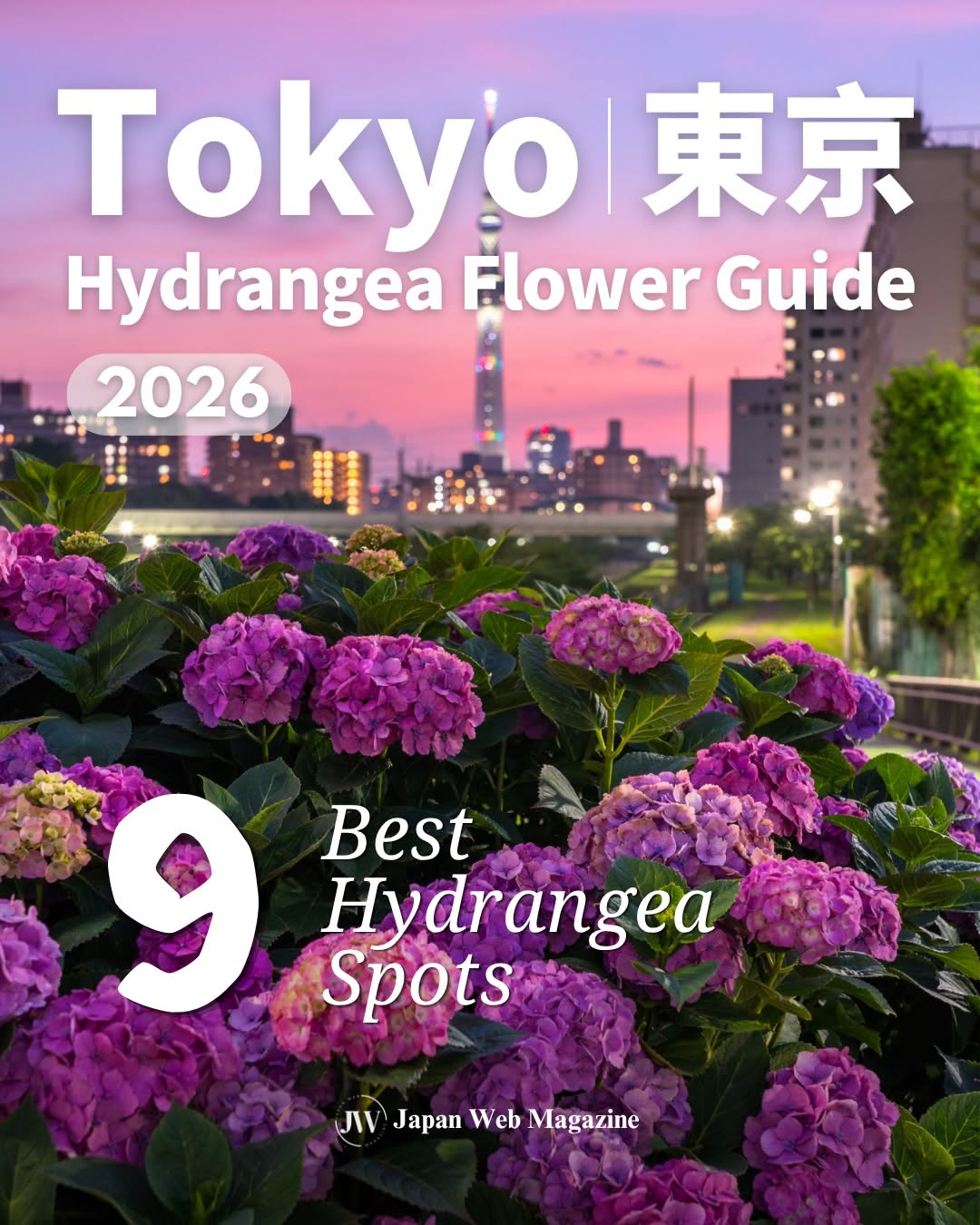 Japan Web Magazine | Discover Japan π―π΅, Tokyo Summerland