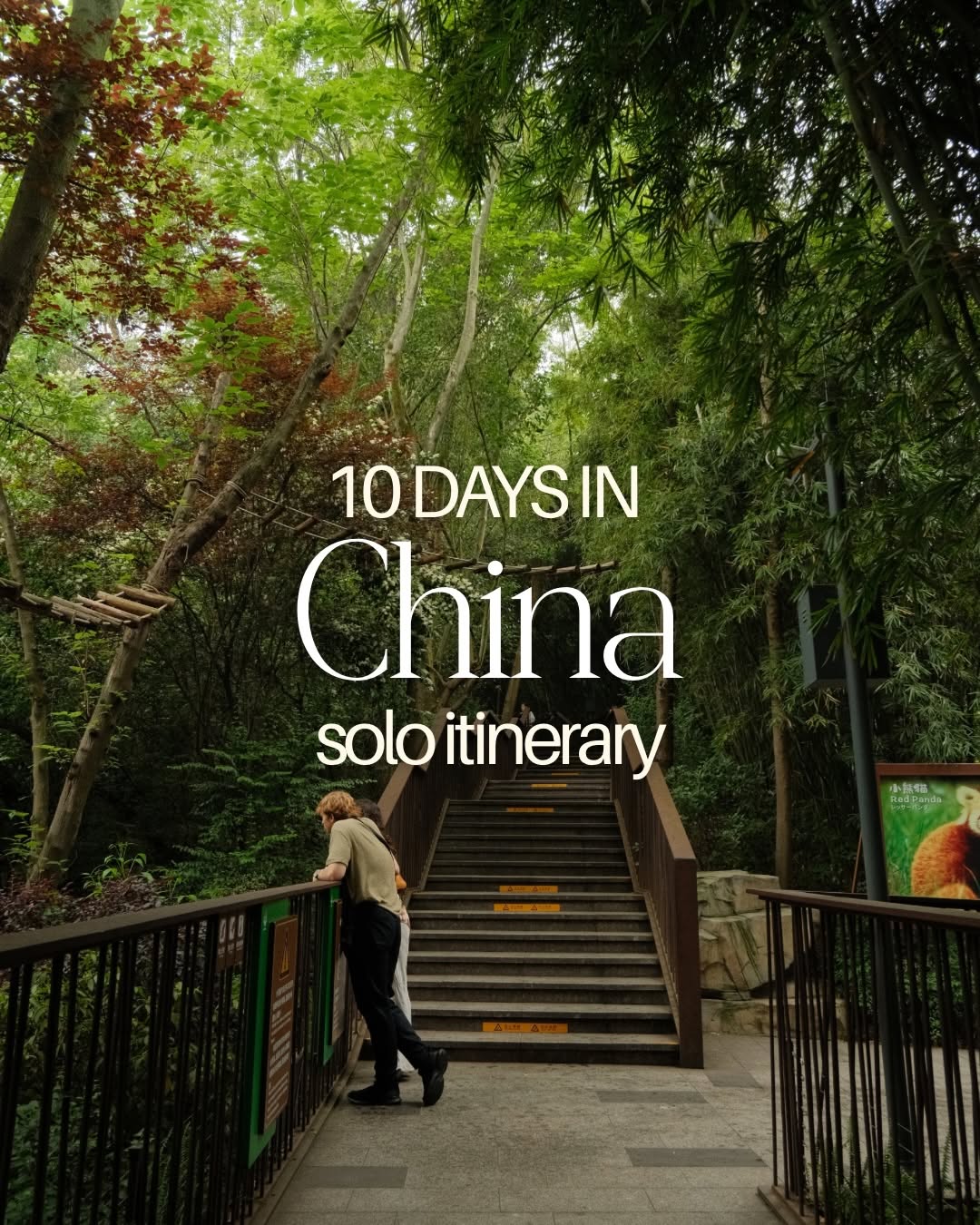 Akanksha | Solo Travel, Chengdu Research Base of Giant Panda Breeding