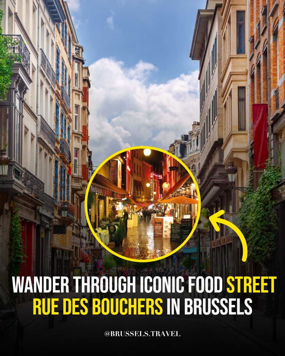 Brussels, Belgium 🇧🇪 Travel | Hotels | Food, Chez Léon