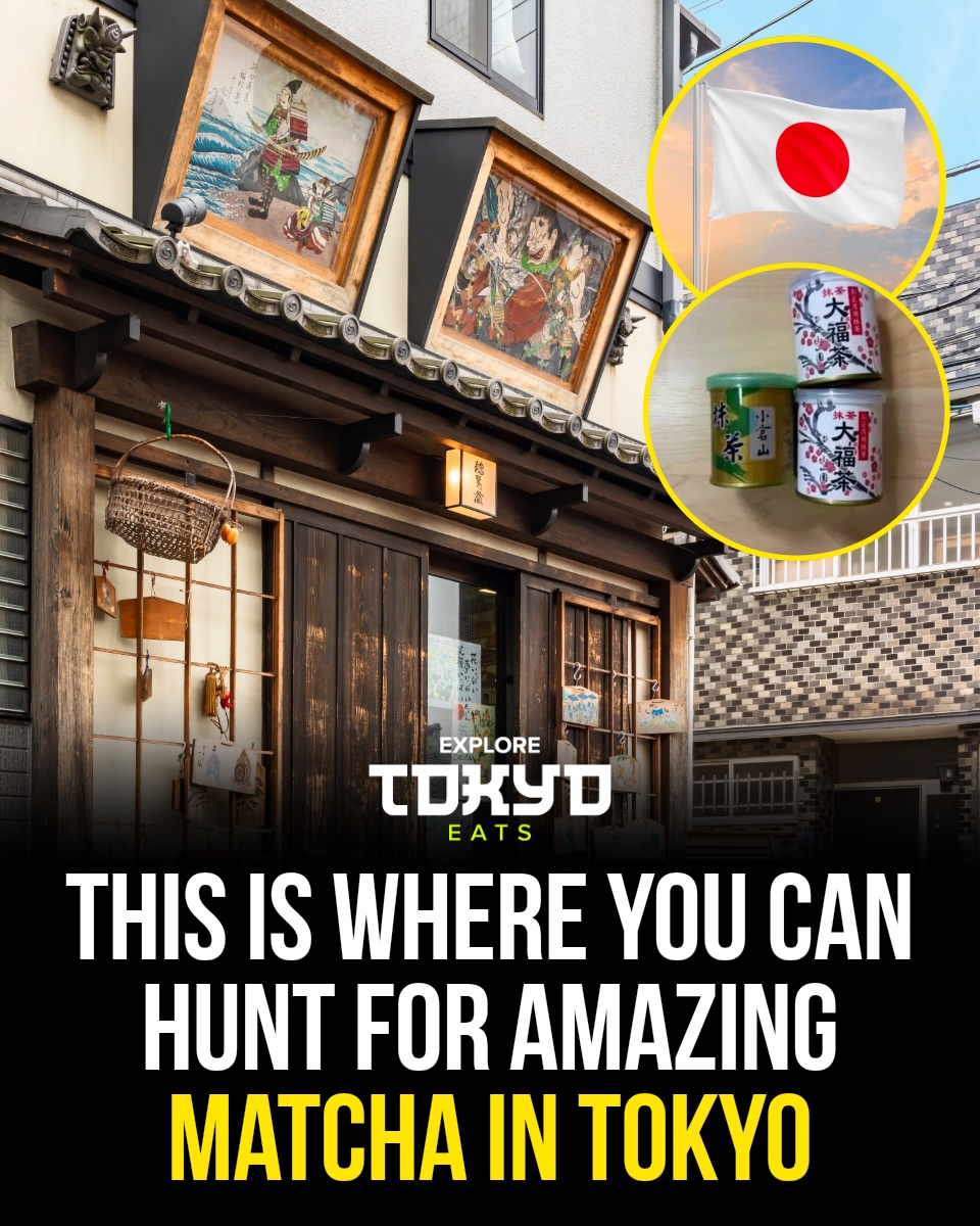Tokyo, Japan🇯🇵 东京 Travel | Hotels | Food | Tips 🗼, MEGA Don Quijote