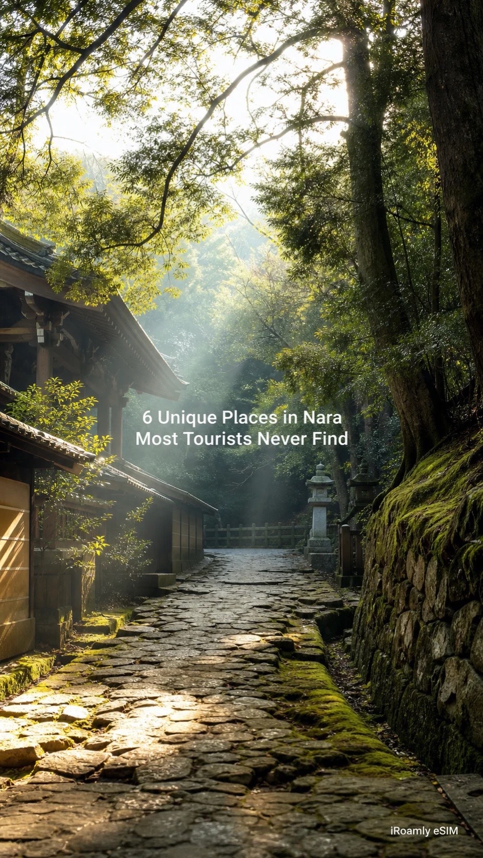 Ray_Japanfun, Naramachi Historic District