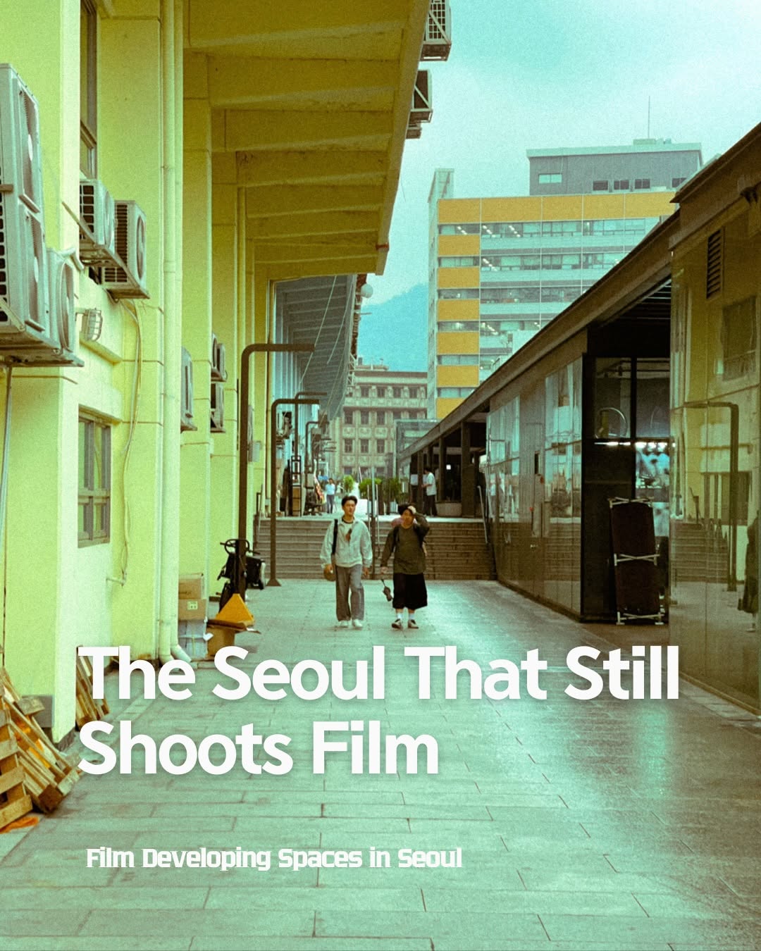 HIDDEN LOOK SEOUL, Whale photo lab
