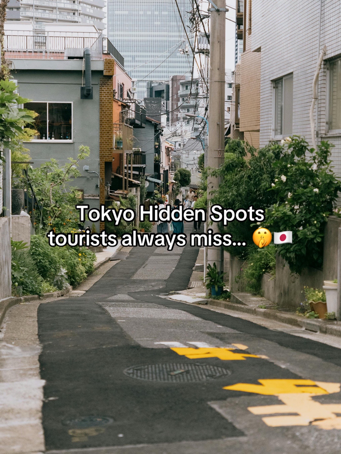 Tokyo Views, Tokyo Tower
