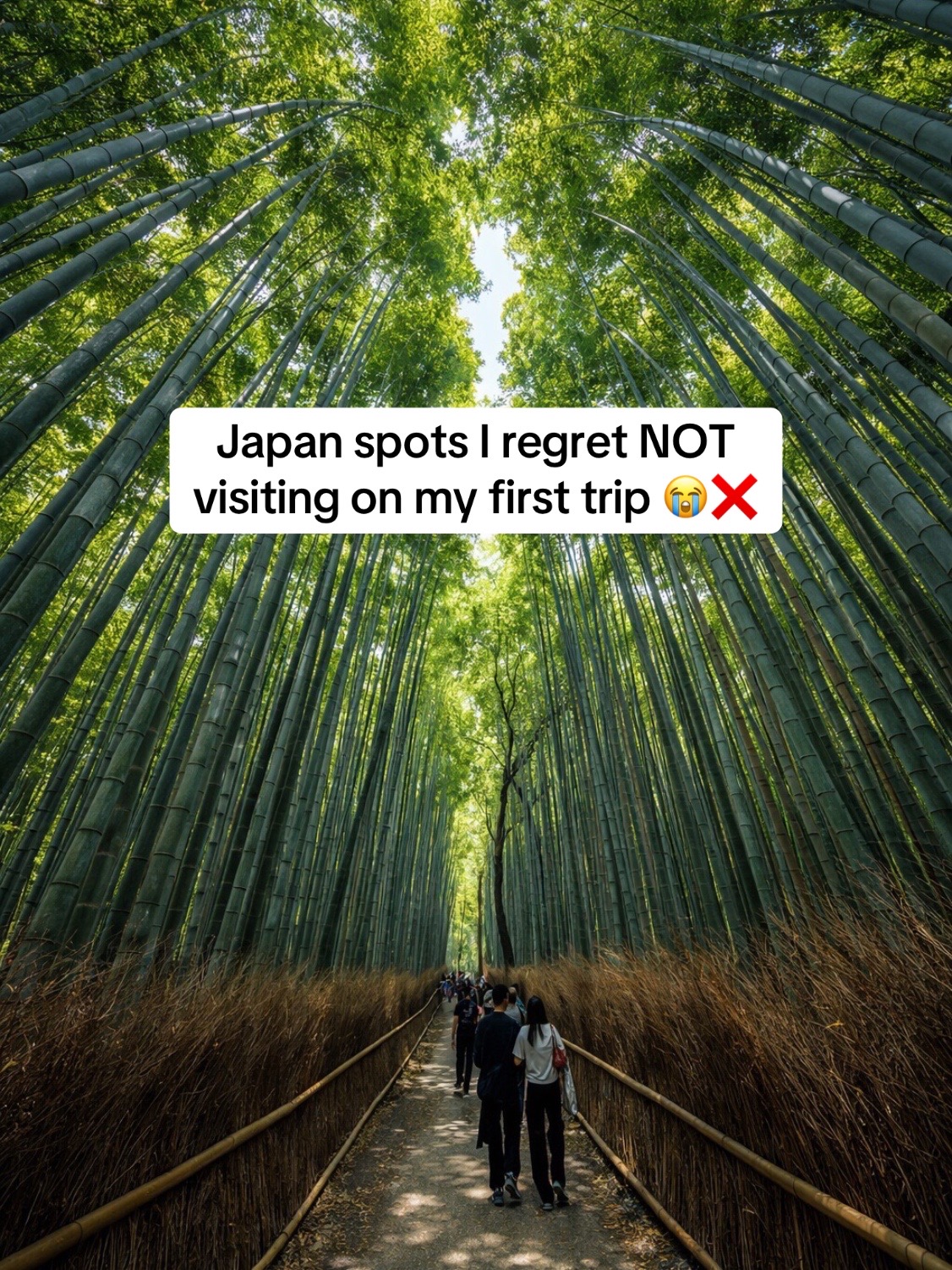 Japan on a Budget, Arashiyama Bamboo Forest