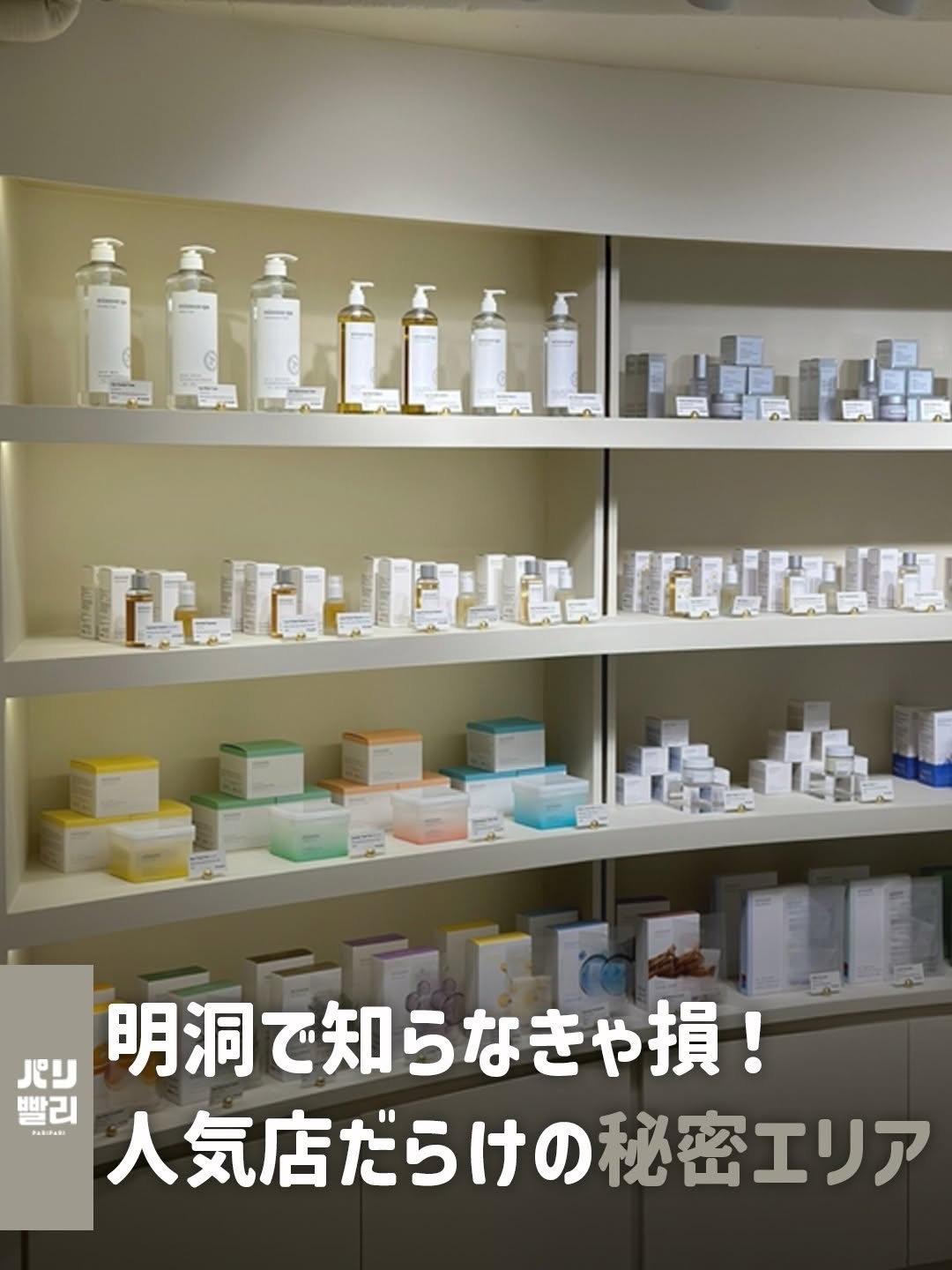 最新の韓国情報&トレンド発信 | パリパリ, 블루엘리펀트 홍대 플래그십스토어 BLUEELEPHANT HONGDAE FLAGSHIP STORE