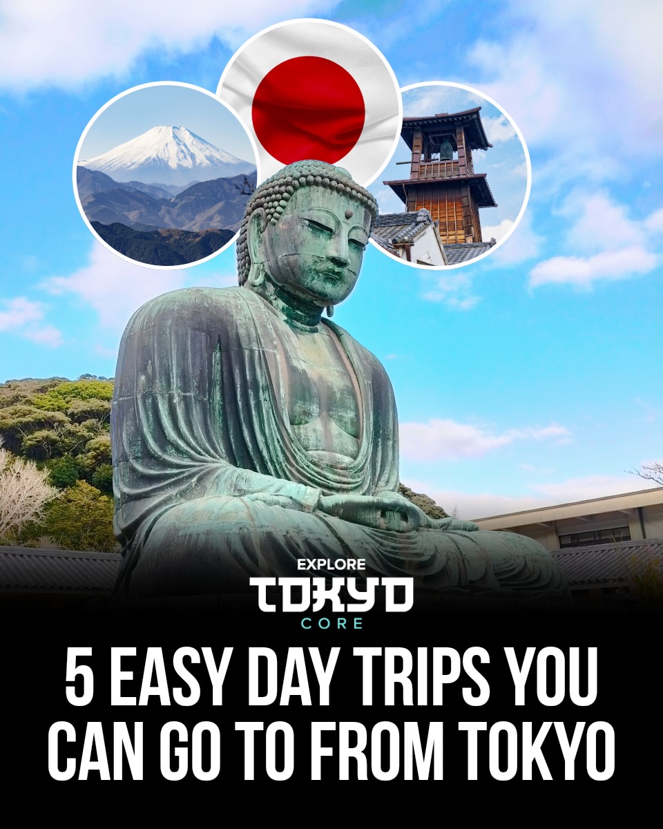 Tokyo, Japan🇯🇵 东京 Travel | Hotels | Food | Tips 🗼, Oishi Park