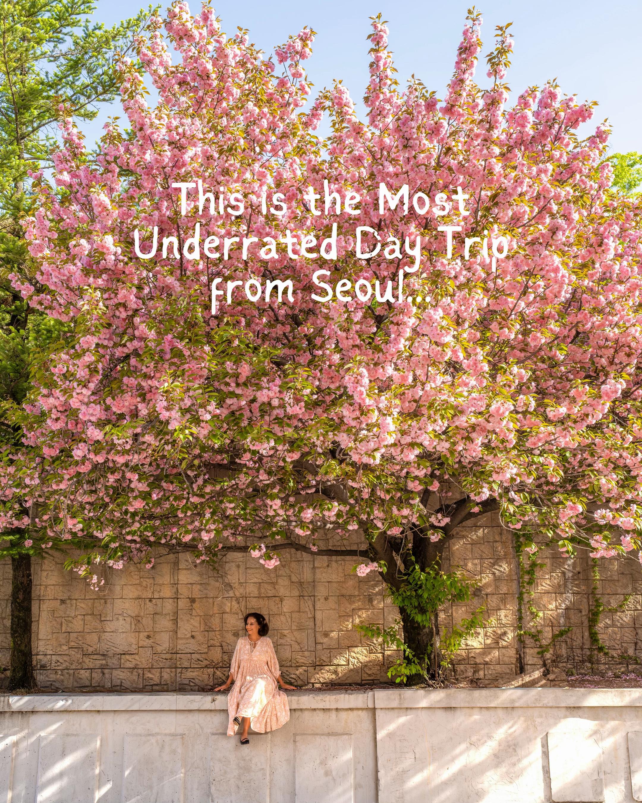 Jackie Rezk | London travel, Suwon Hwaseong Fortress