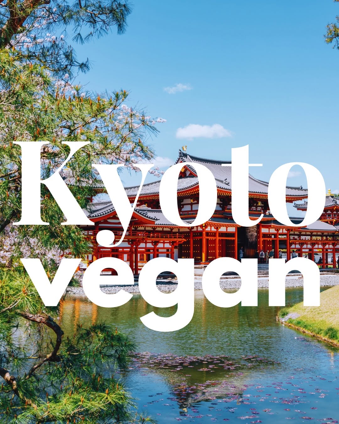 Dawn | Orange County Vegan, Byodo-in Temple
