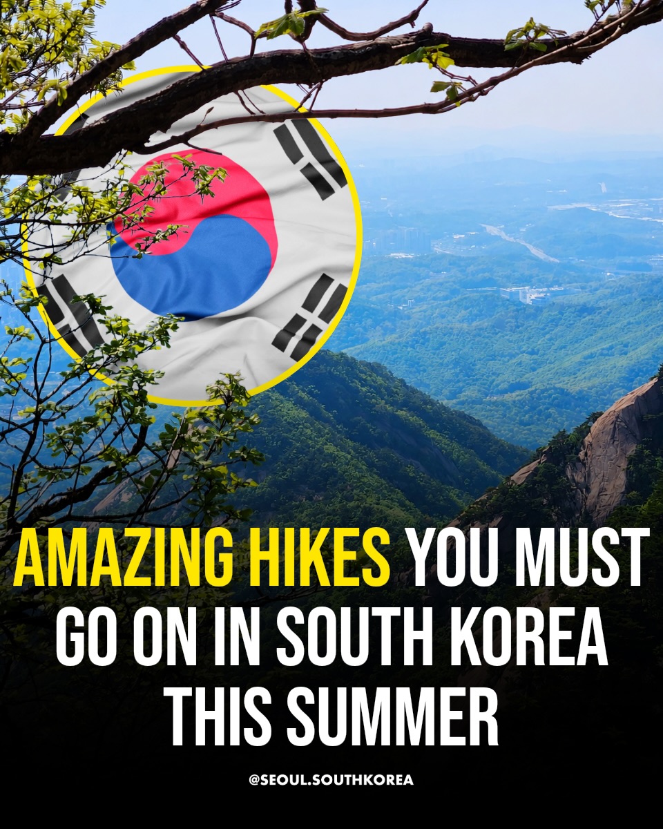 Seoul 🇰🇷 서울 여행 가이드 Travel | Hotels | Food | Tips, Hallasan National Park