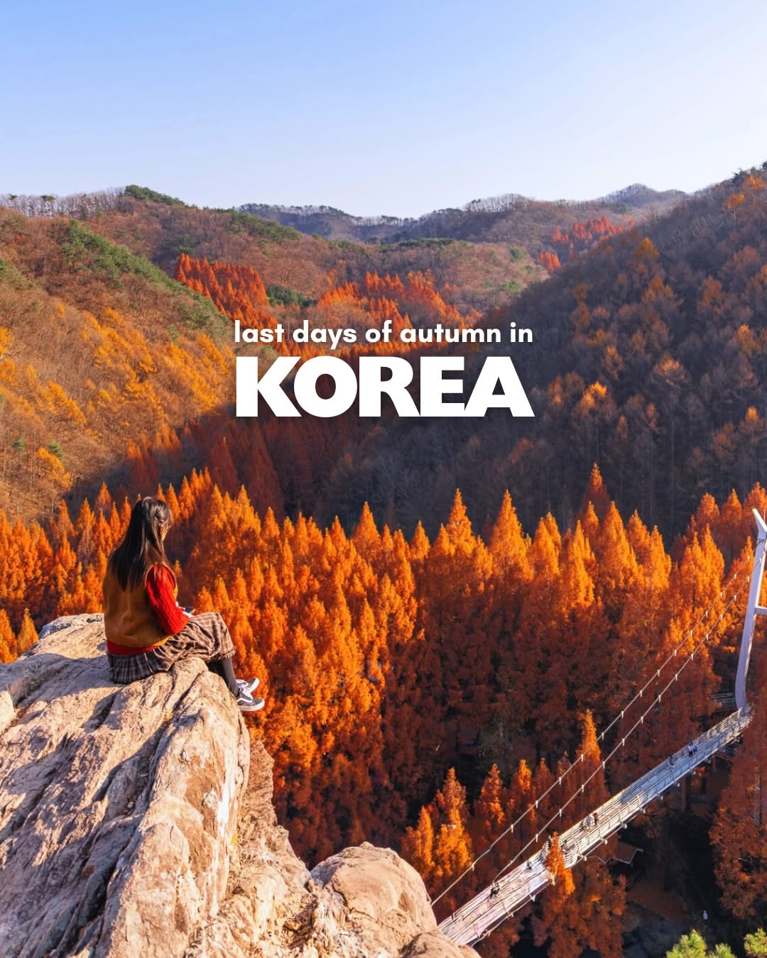 Sol Life, 장태산자연휴양림