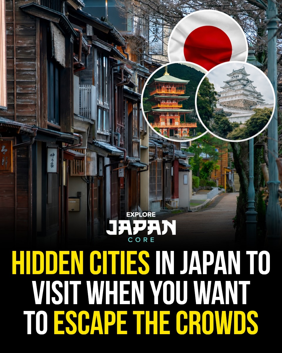 Japan 日本 🇯🇵 Asia Travel | Hotels | Food | Tips, Itsukushima