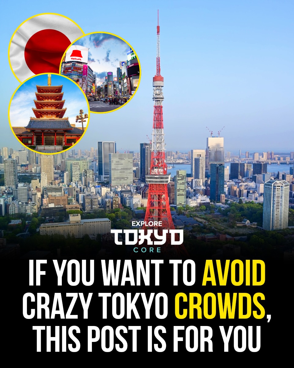 Tokyo, Japan🇯🇵 东京 Travel | Hotels | Food | Tips 🗼, Kiyosumi Gardens