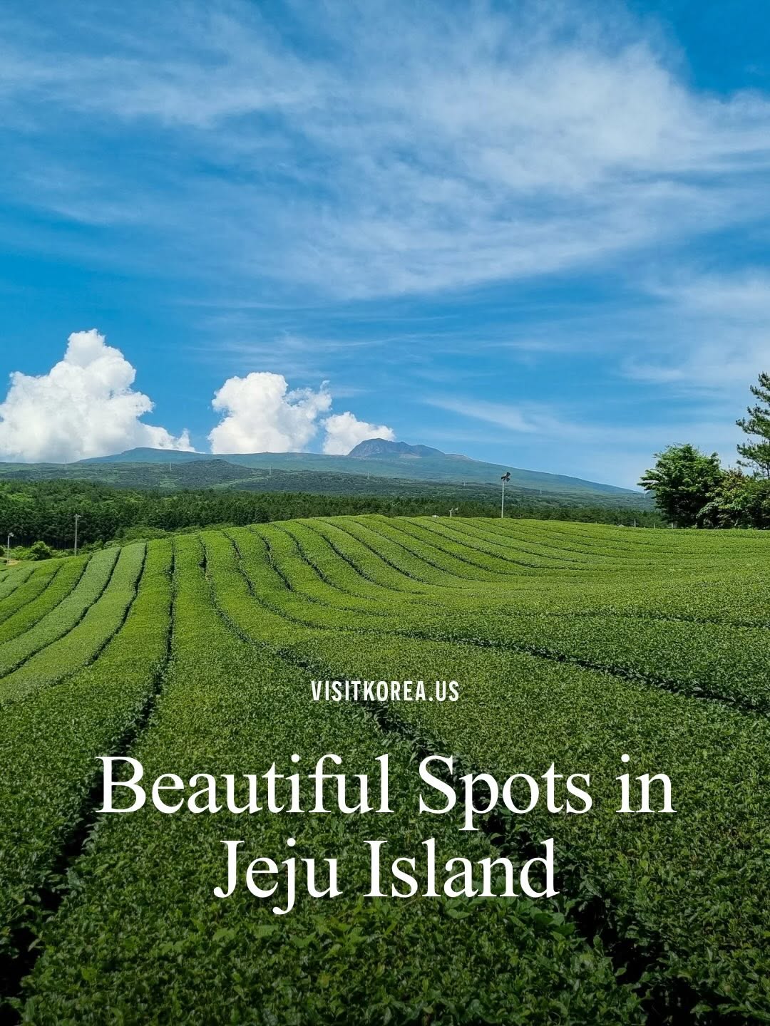 Korea Tourism Org. USA, Jeju Stone Park