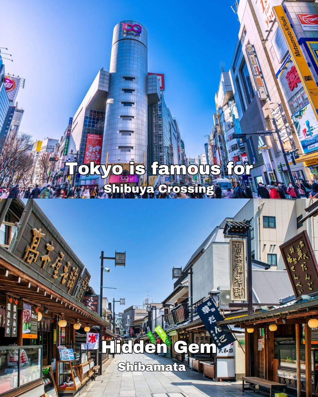 tsunagu Japan, Shibuya Scramble Crossing