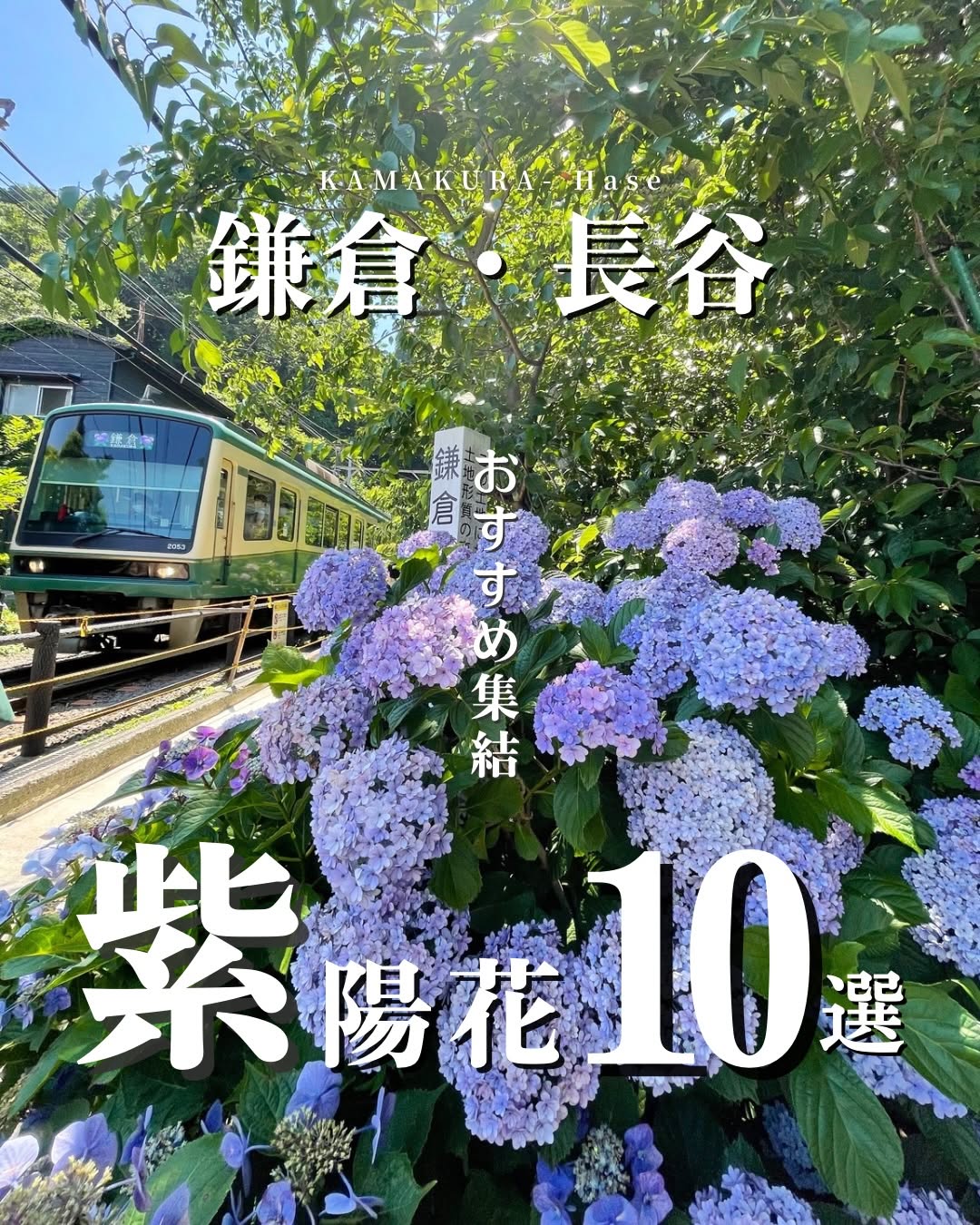 Yuri｜鎌倉グルメ・カフェ・スポット, Kamakura Hasedera
