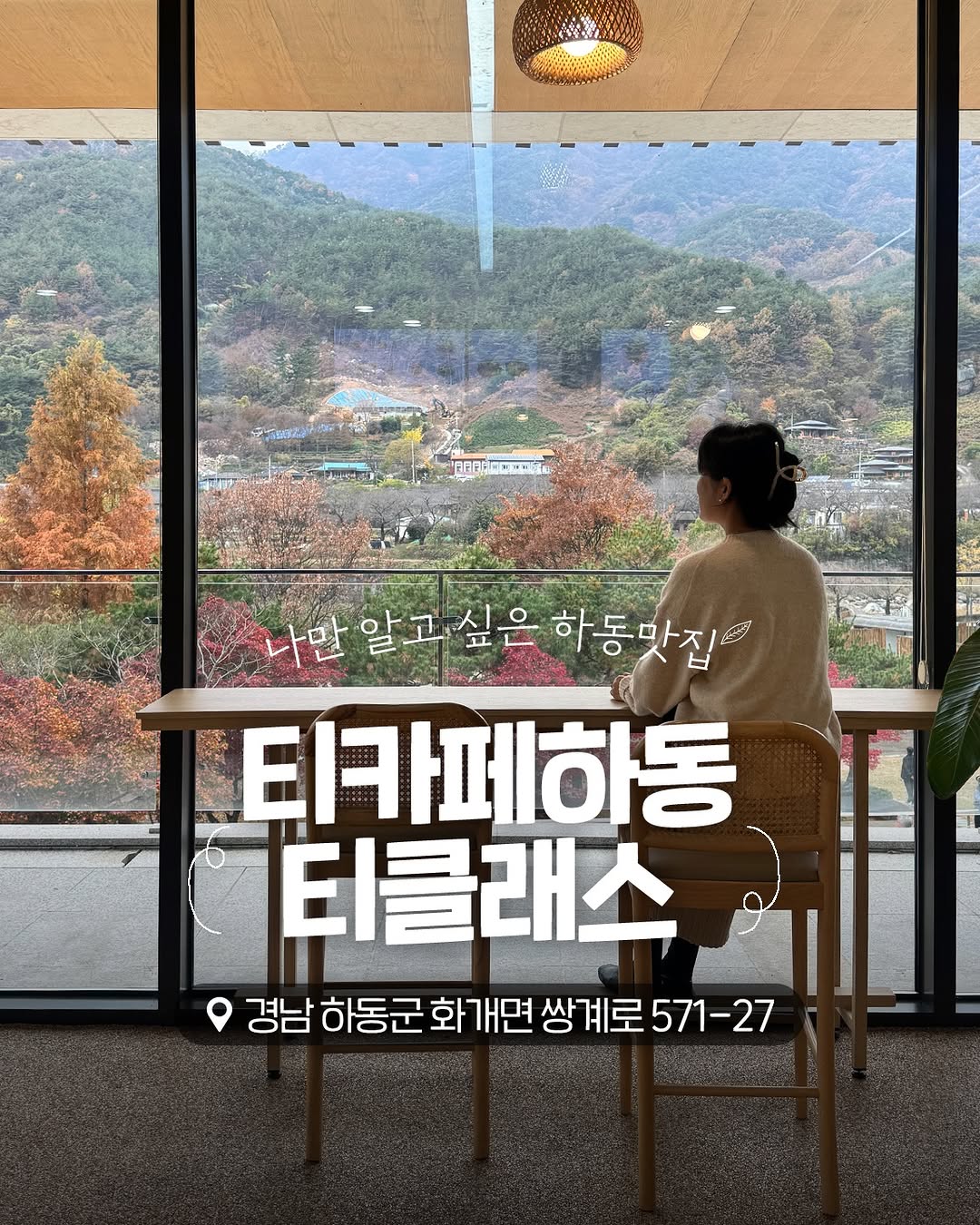 하동군🌱, 하동 야생차 박물관