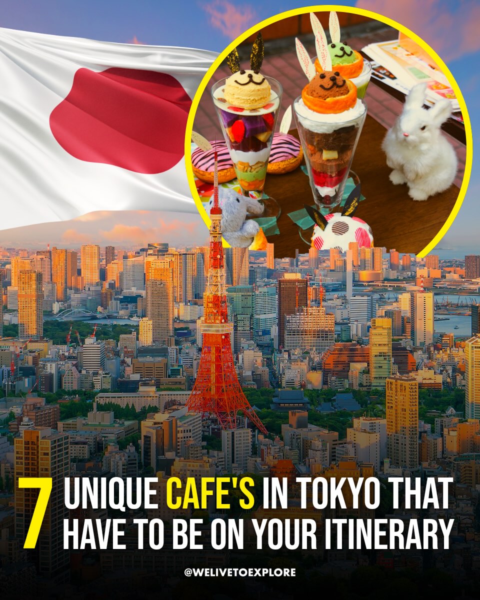 We Live To Explore | Adventure | Travel | Bucketlist, Starbucks Coffee - Shibuya Tsutaya 2F