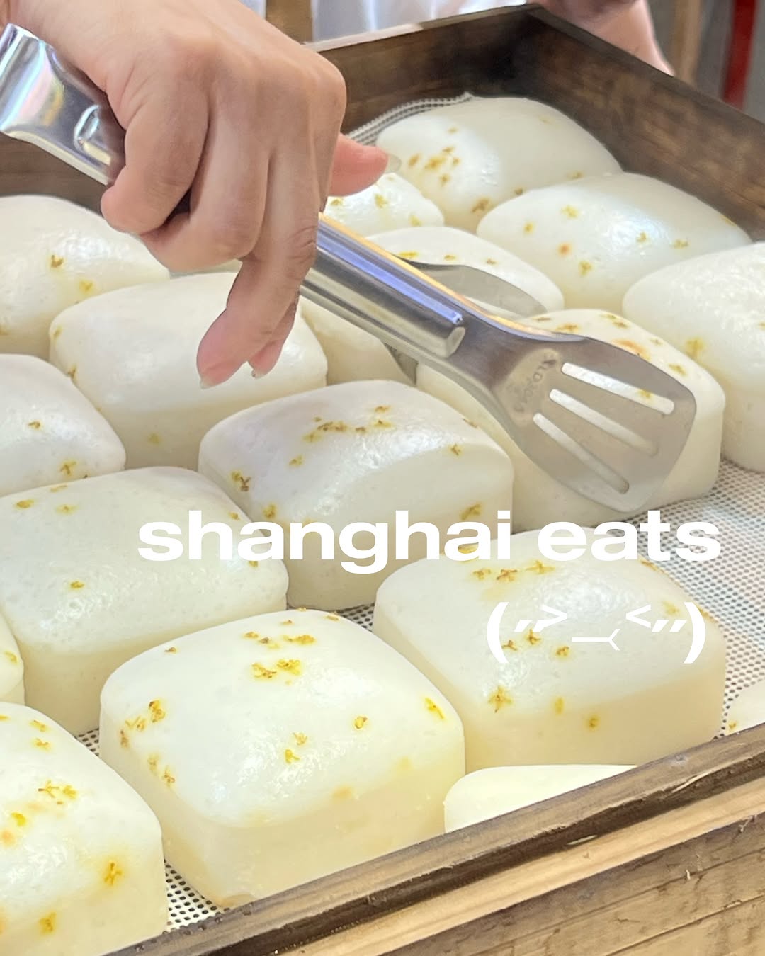 tiffany ♡, yang's fried dumpling
