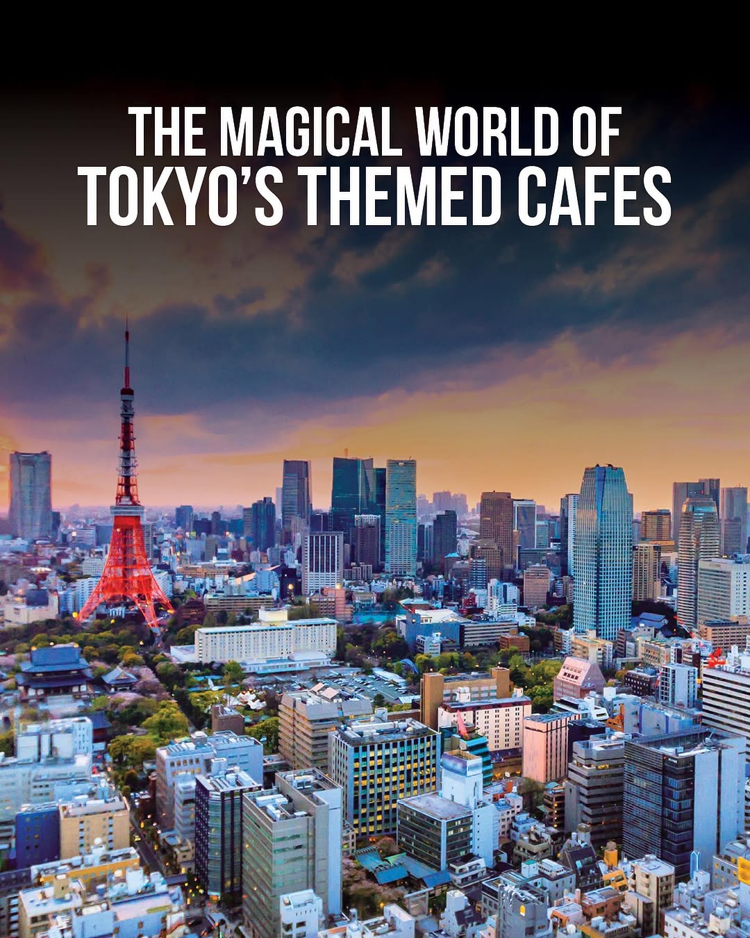Tokyo, Japan🇯🇵 东京 Travel | Hotels | Food | Tips 🗼, Pokémon Center Tokyo DX