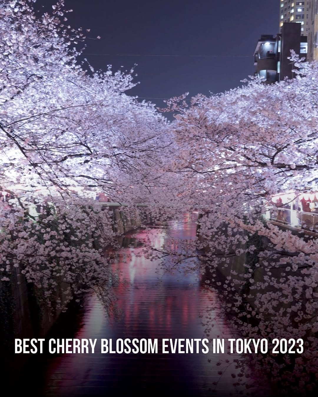 Tokyo, Japan🇯🇵 东京 Travel | Hotels | Food | Tips 🗼, Shinjuku Gyoen National Garden