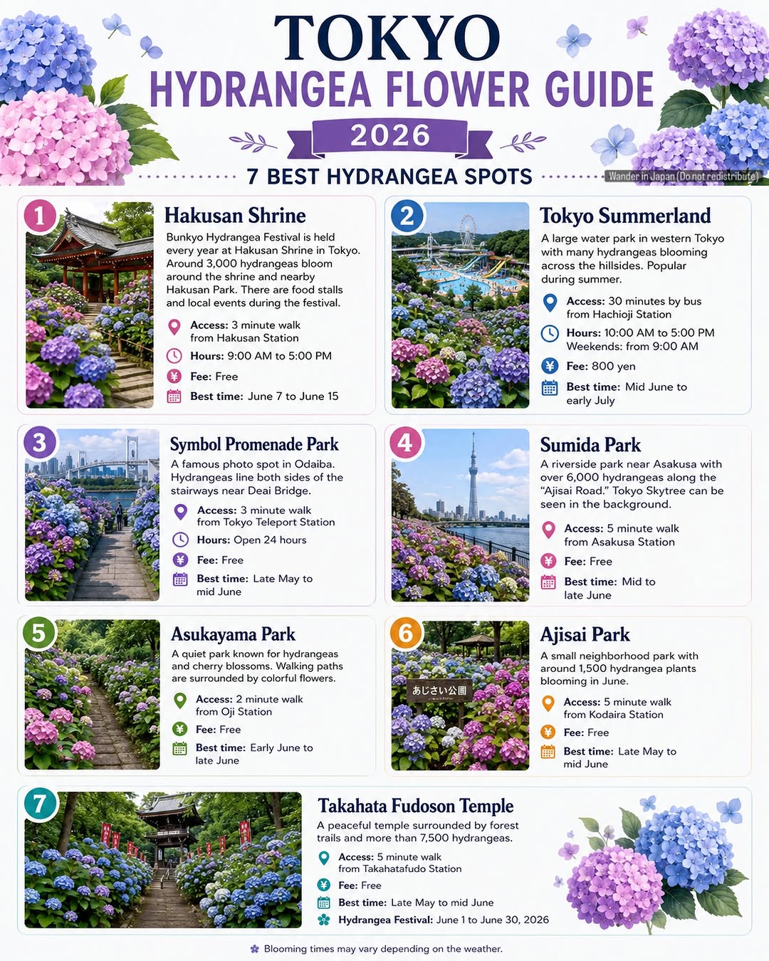 Wander in Japan 🇯🇵⛩️, Tokyo Summerland