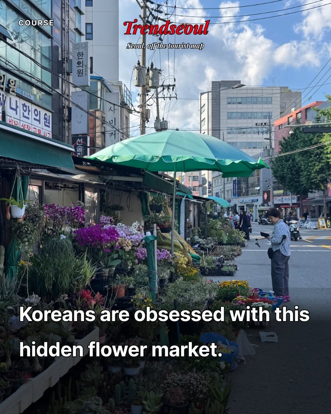 TREND SEOUL, Dongdaemun Market
