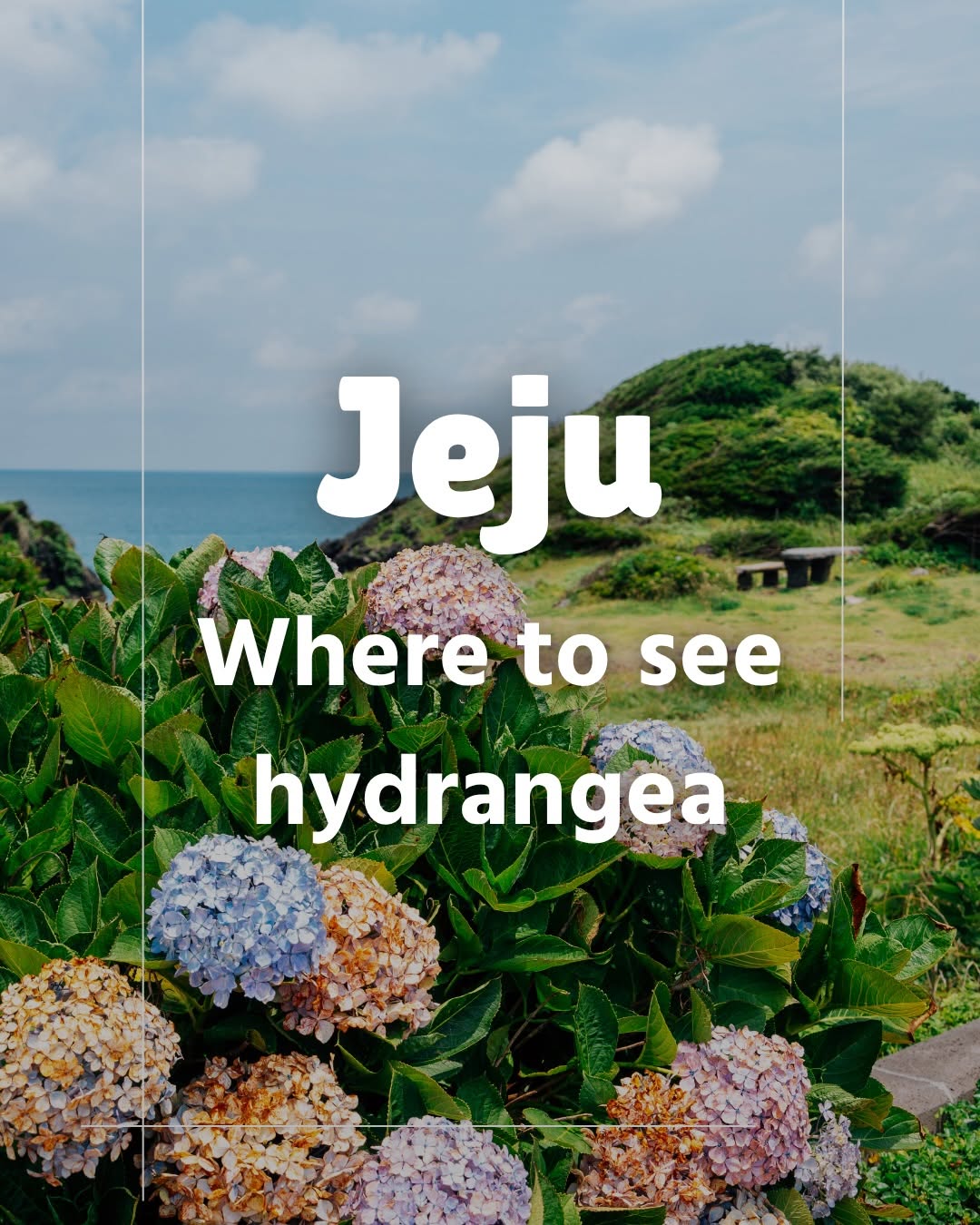 Korea Travel Guide 🇰🇷, Jeju Folk Village