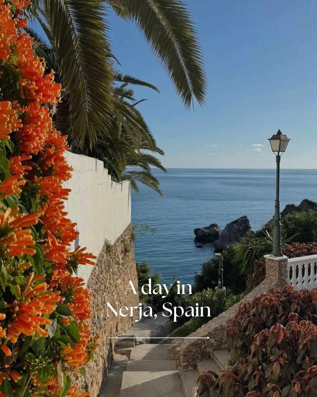 Jain Travel Services, Frigiliana