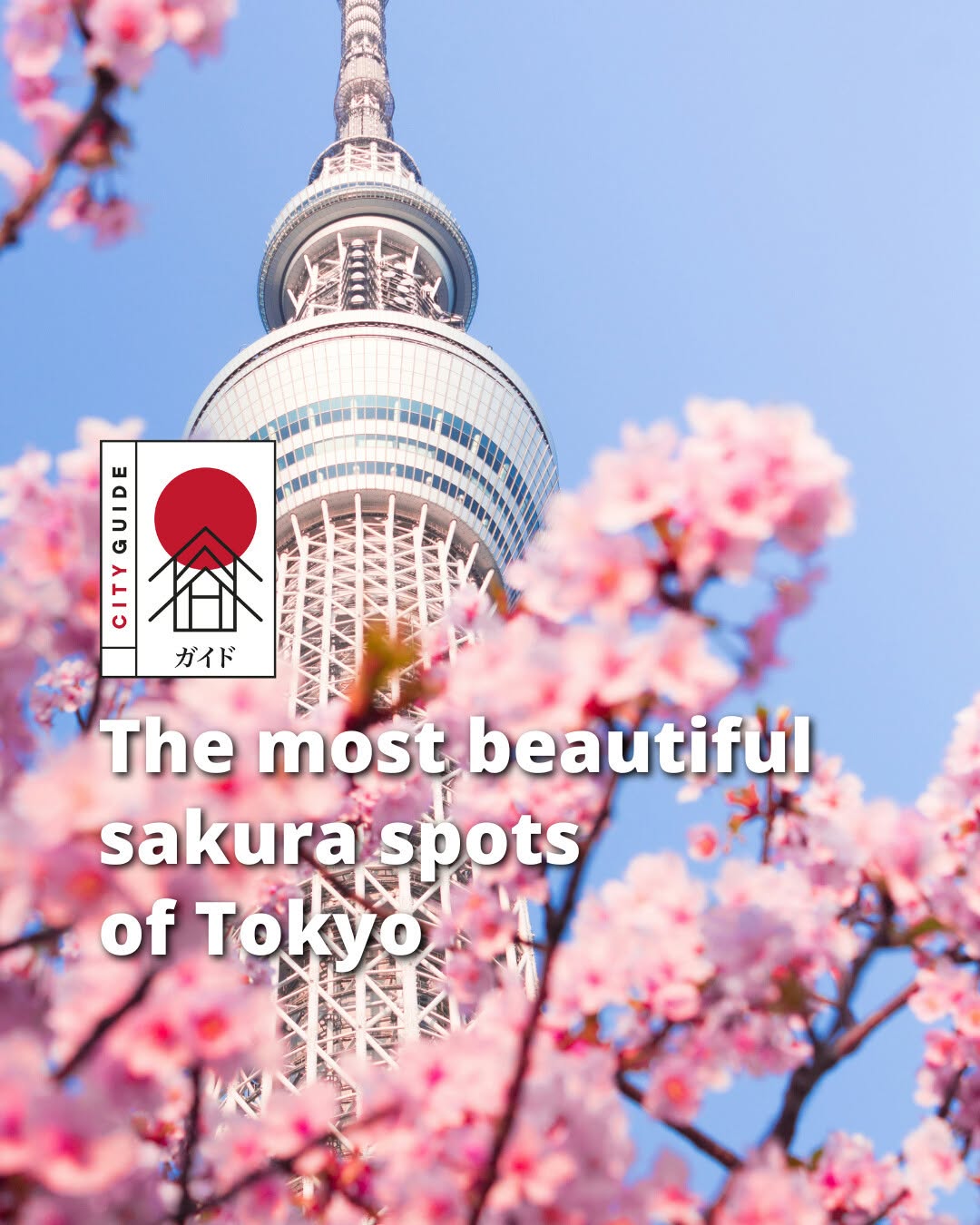 Inspired by Japan 🇯🇵, Shinjuku Gyoen National Garden