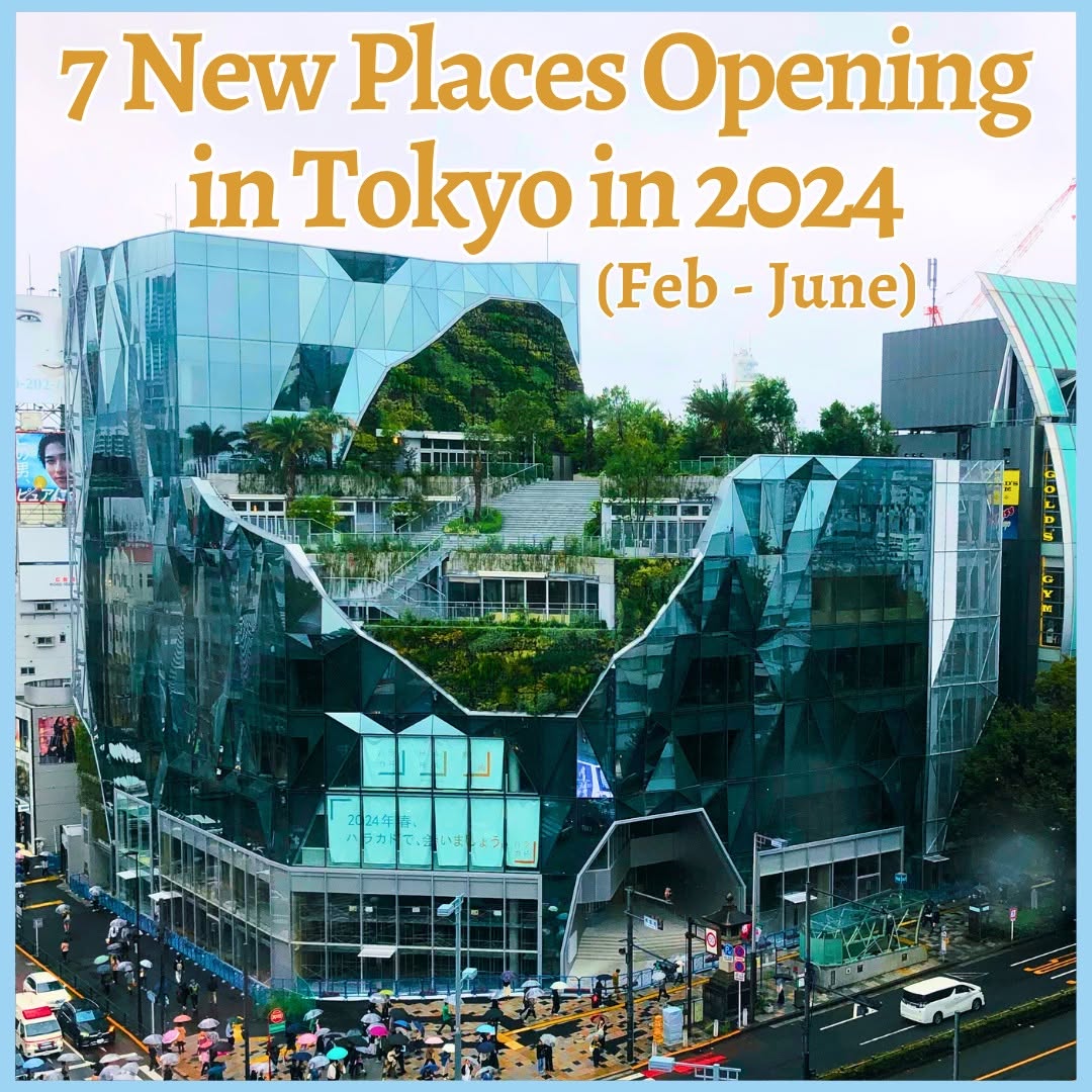 WeXpats 🌏 Japan Work & Life, Tokyo DisneySea