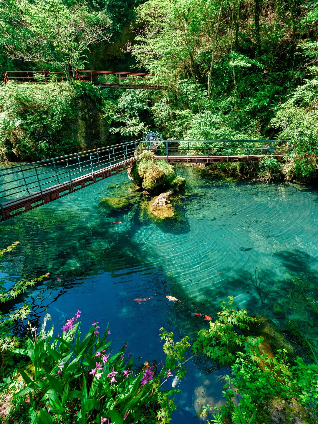 Hayate/香川県, Tengu Highlands