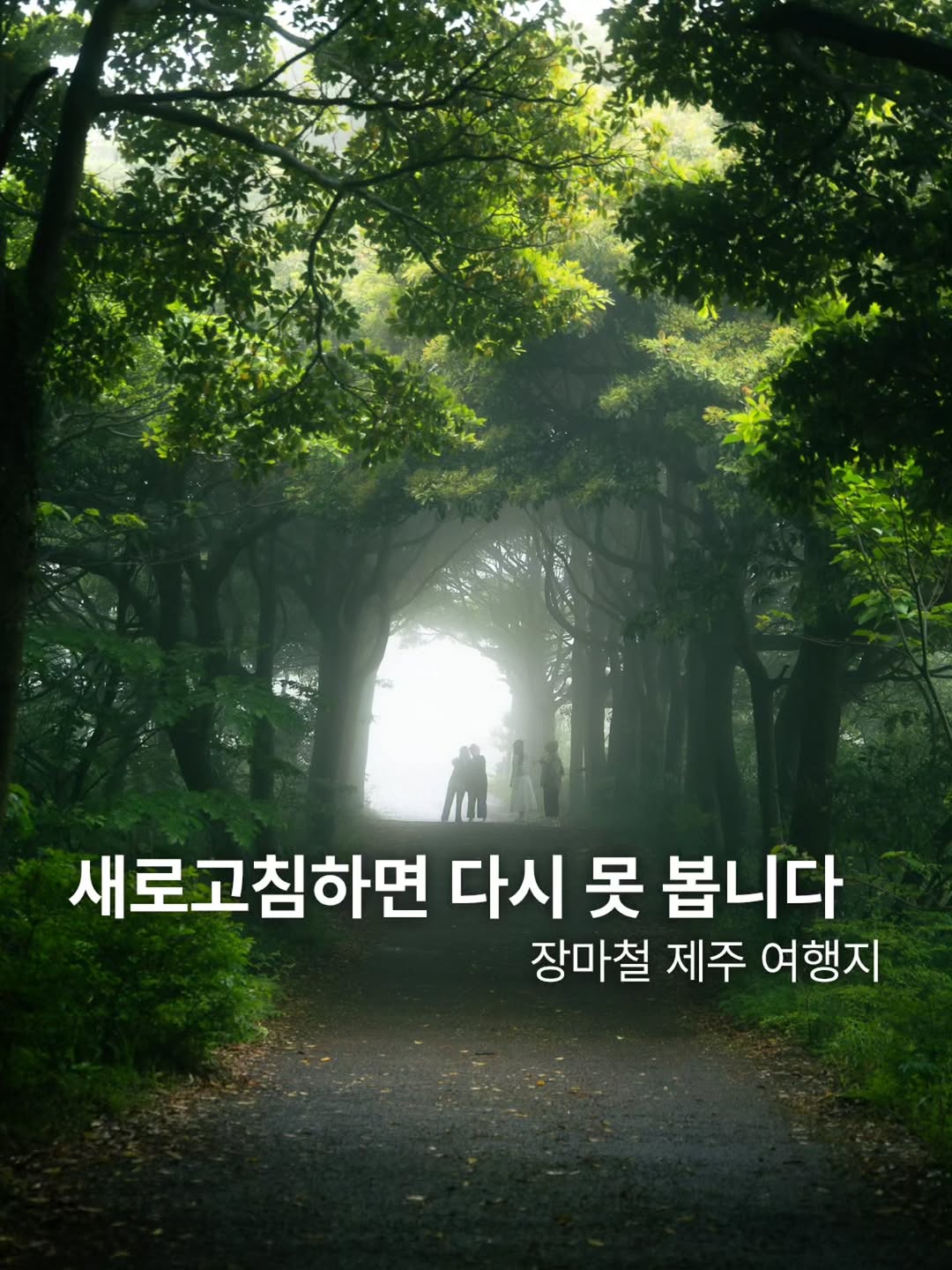 부민호 • 부픽 | 여행 • 사진 • 영상, Saryeoni Forest Path Red Ascension Entrance