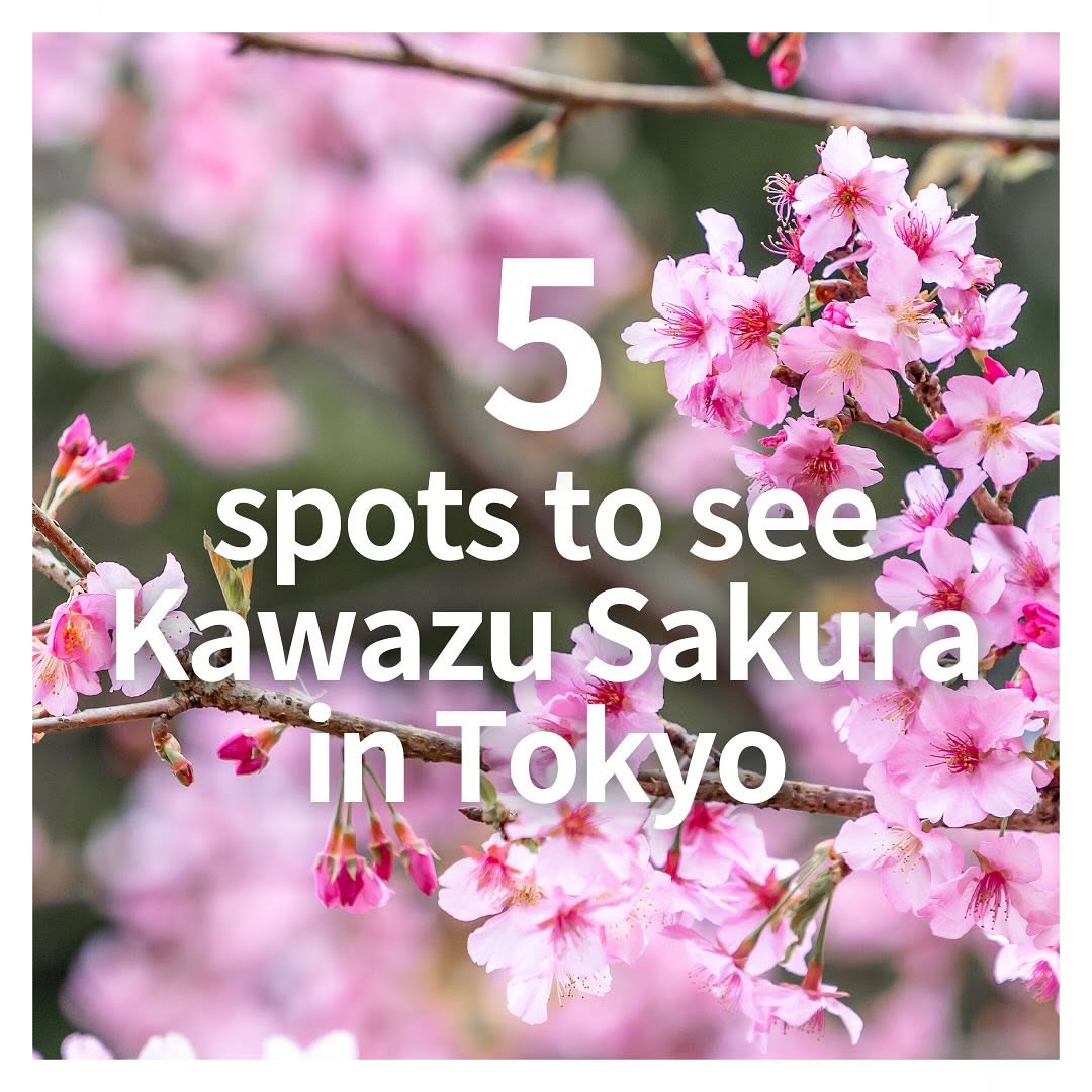 𝗮𝘁𝘁.𝗝𝗔𝗣𝗔𝗡｜travel/trip/culture✨, Yoyogi Park