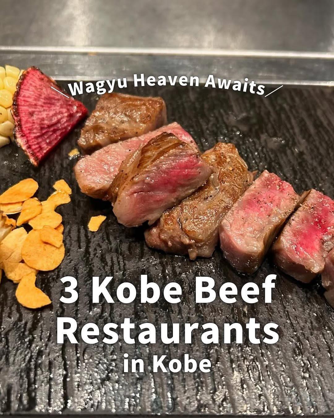 Enjoy! OSAKA KYOTO KOBE, Kobe Beef Steak Restaurant Mouriya Honten