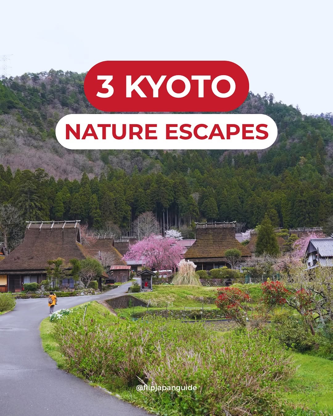 Japan Travel & Life Guide π―π΅, Kyoto Gyoen National Garden