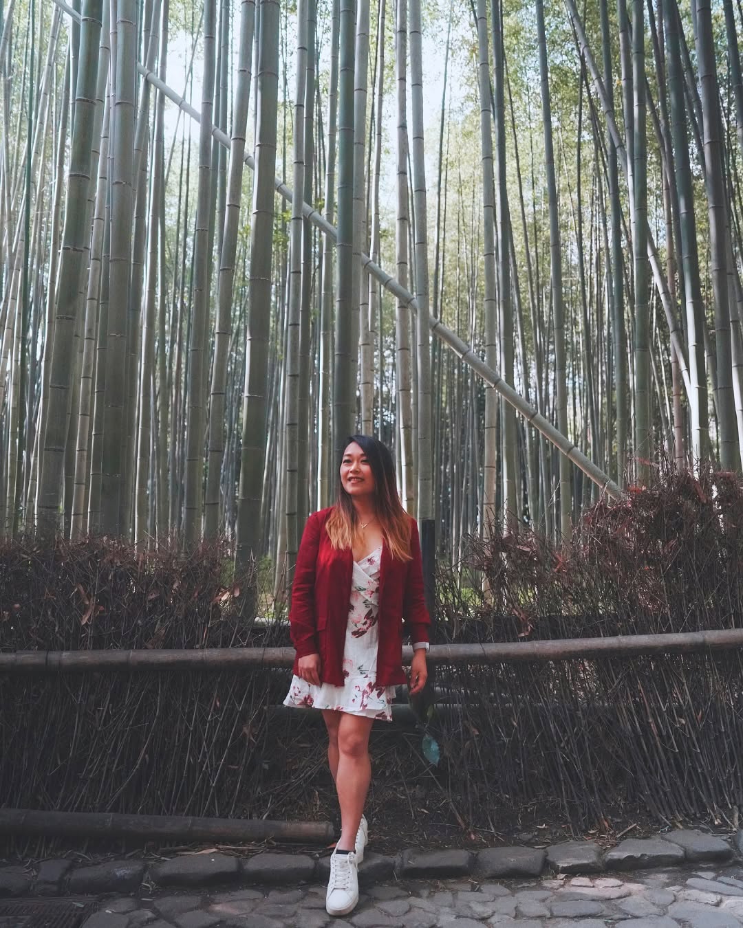 Japan Travel & Life Guide 🇯🇵, Arashiyama Bamboo Forest