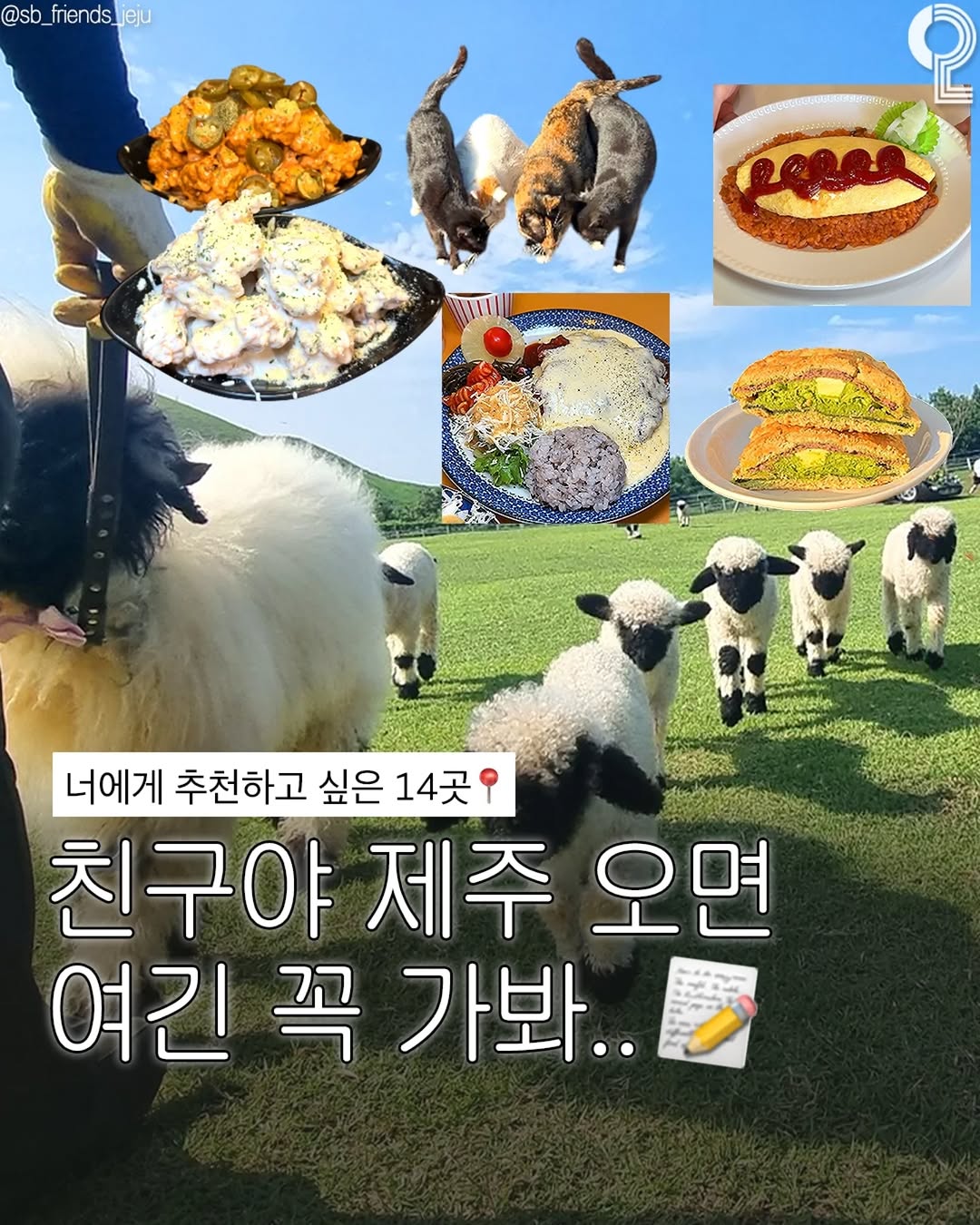 제주에서 뭐 하지? 제주맛집 제주카페 제주여행 제주가볼만한곳, Gimnyeong Maze Park