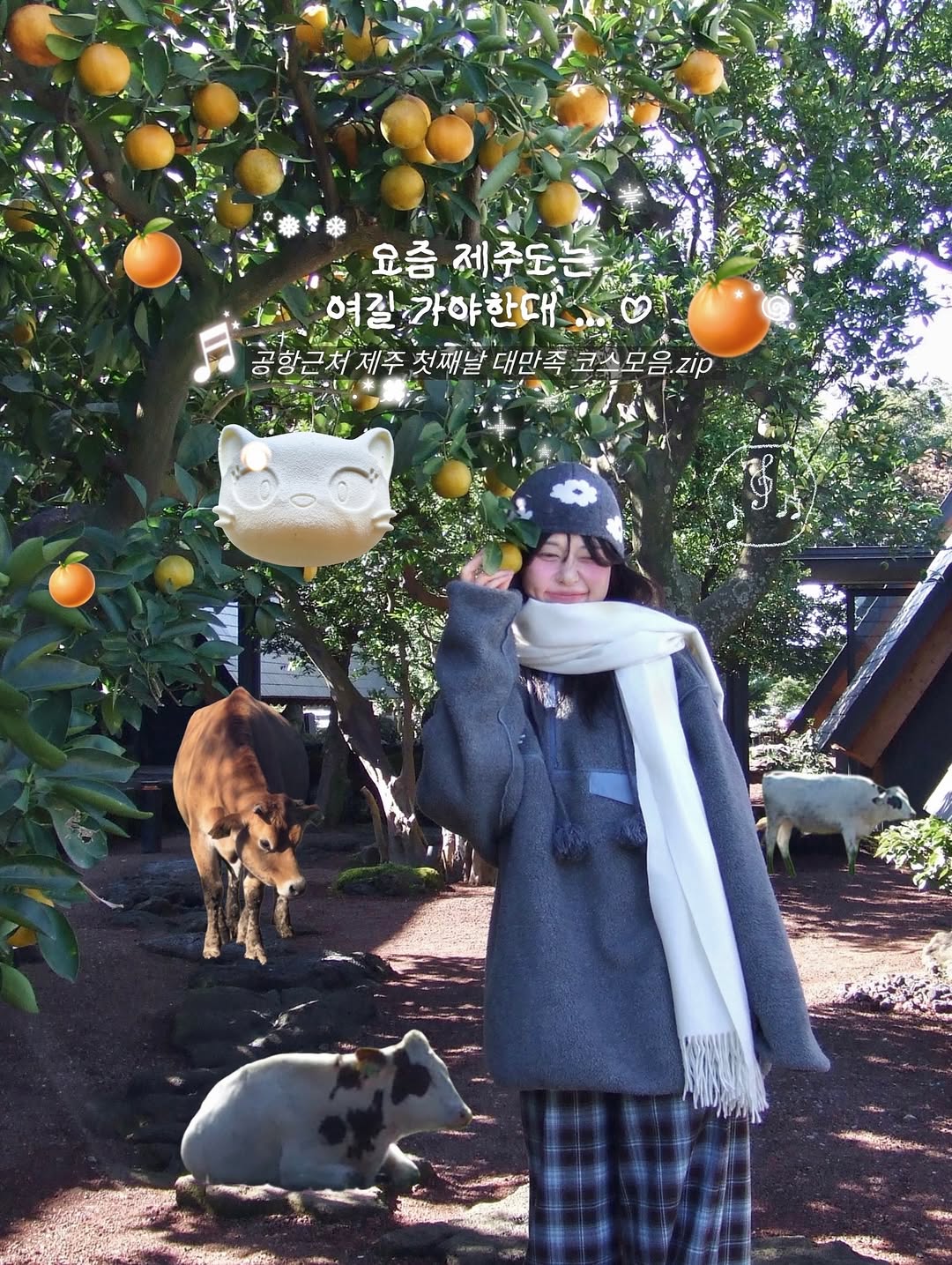 여행 | 아루 ARU ⭐️, Morning Smile Ranch