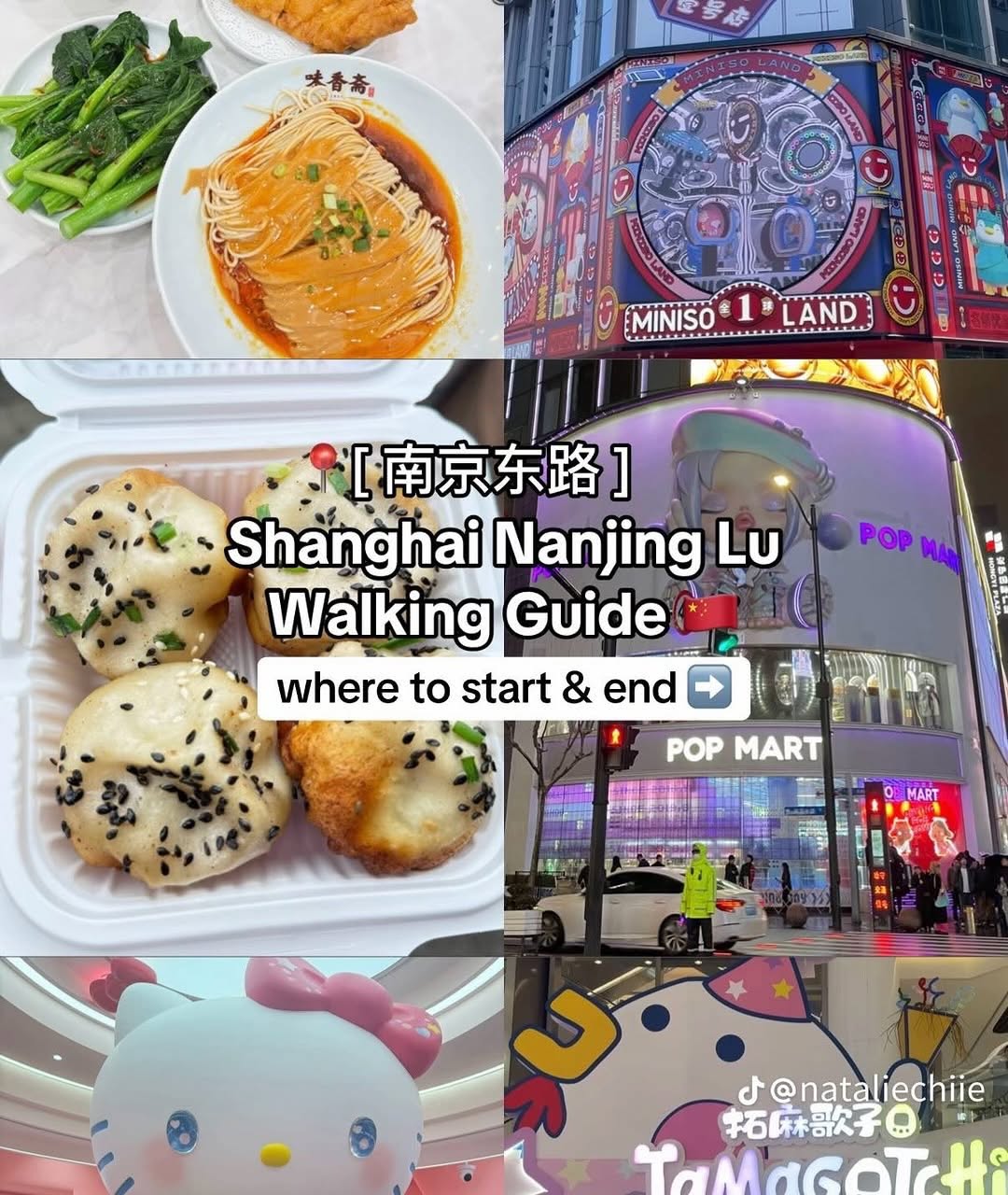 Shanghai 🇨🇳 Travel | Hotels | Food | Tips, Xiaoyang Shengjian