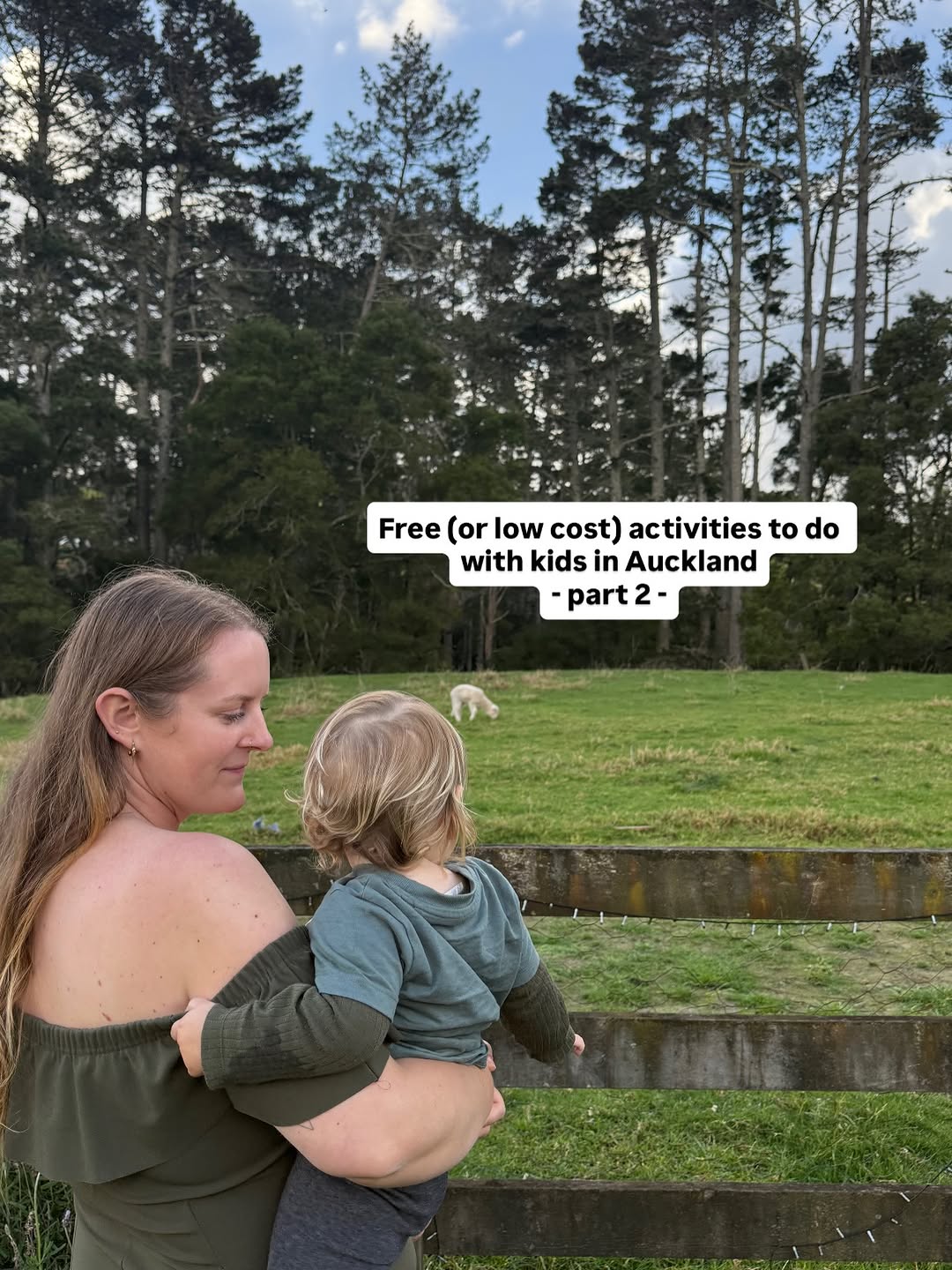 ROAM, Auckland Botanic Gardens