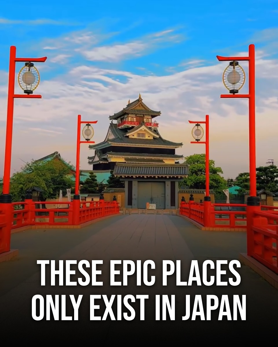 Japan 日本 🇯🇵 Asia Travel | Hotels | Food | Tips, Sun Messe Nichinan