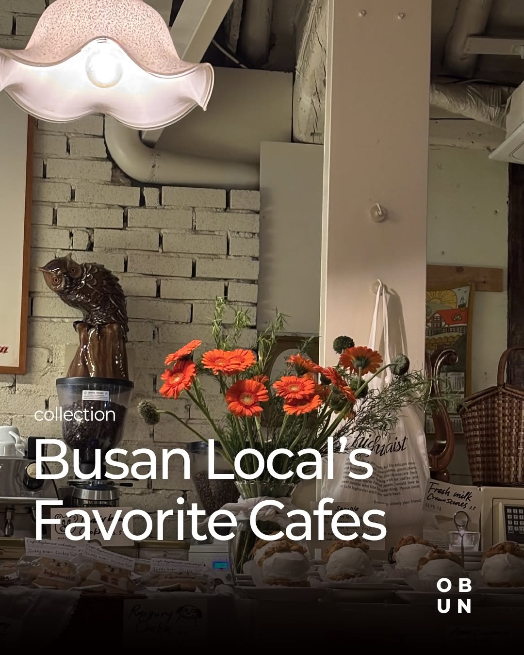 OBUN, Pot of busan