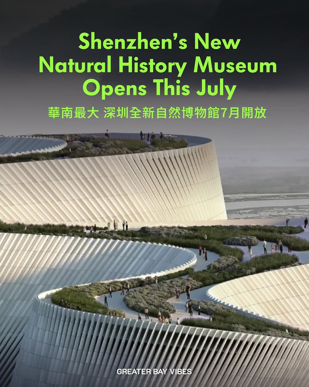 Greater Bay Vibes, Shenzhen Museum