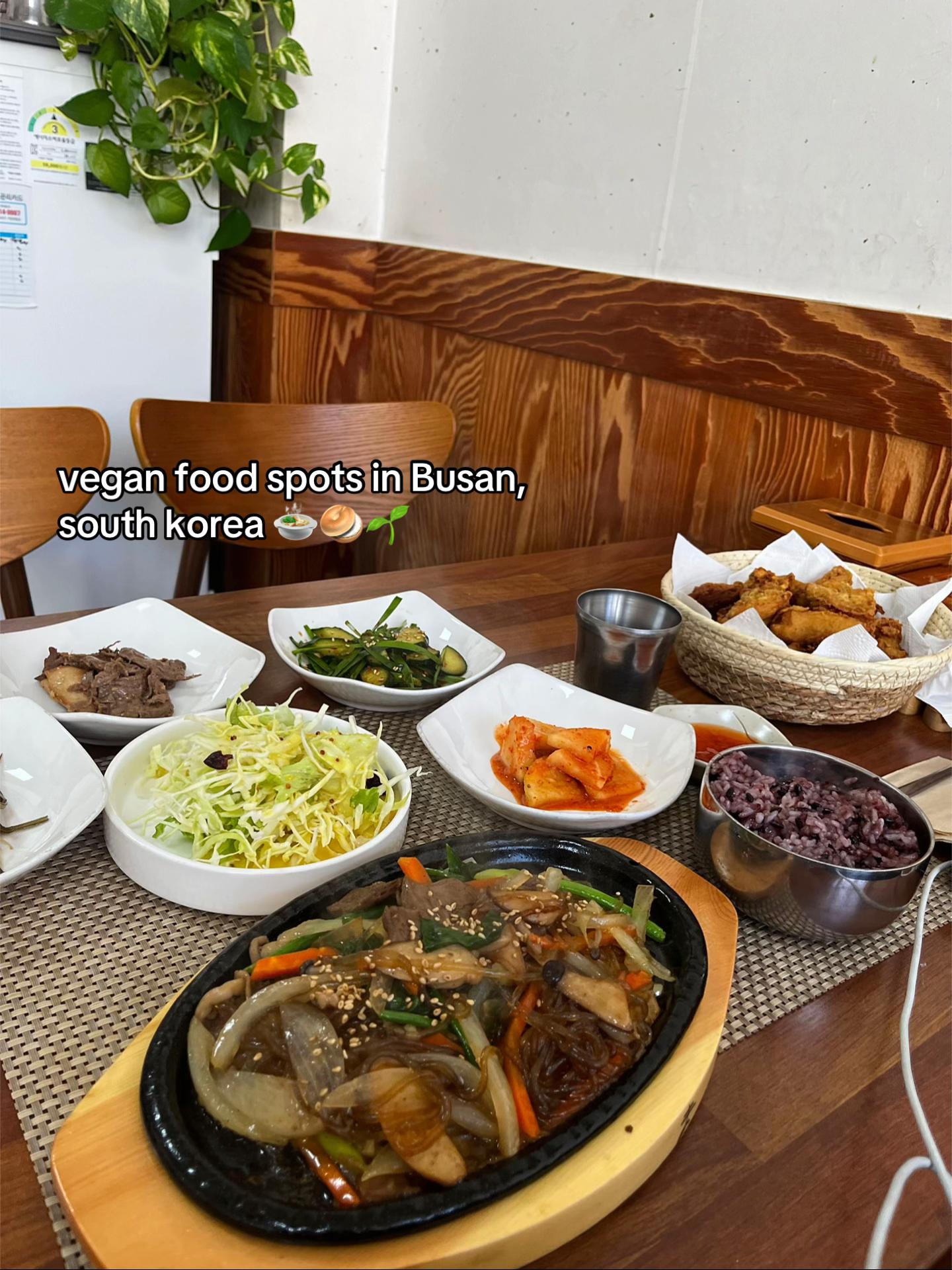 Julia 🤎🌱, Bukchon Hanok Village