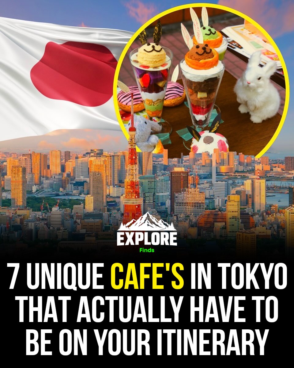 We Live To Explore | Adventure | Travel | Bucketlist, Starbucks Coffee - Shibuya Tsutaya 2F