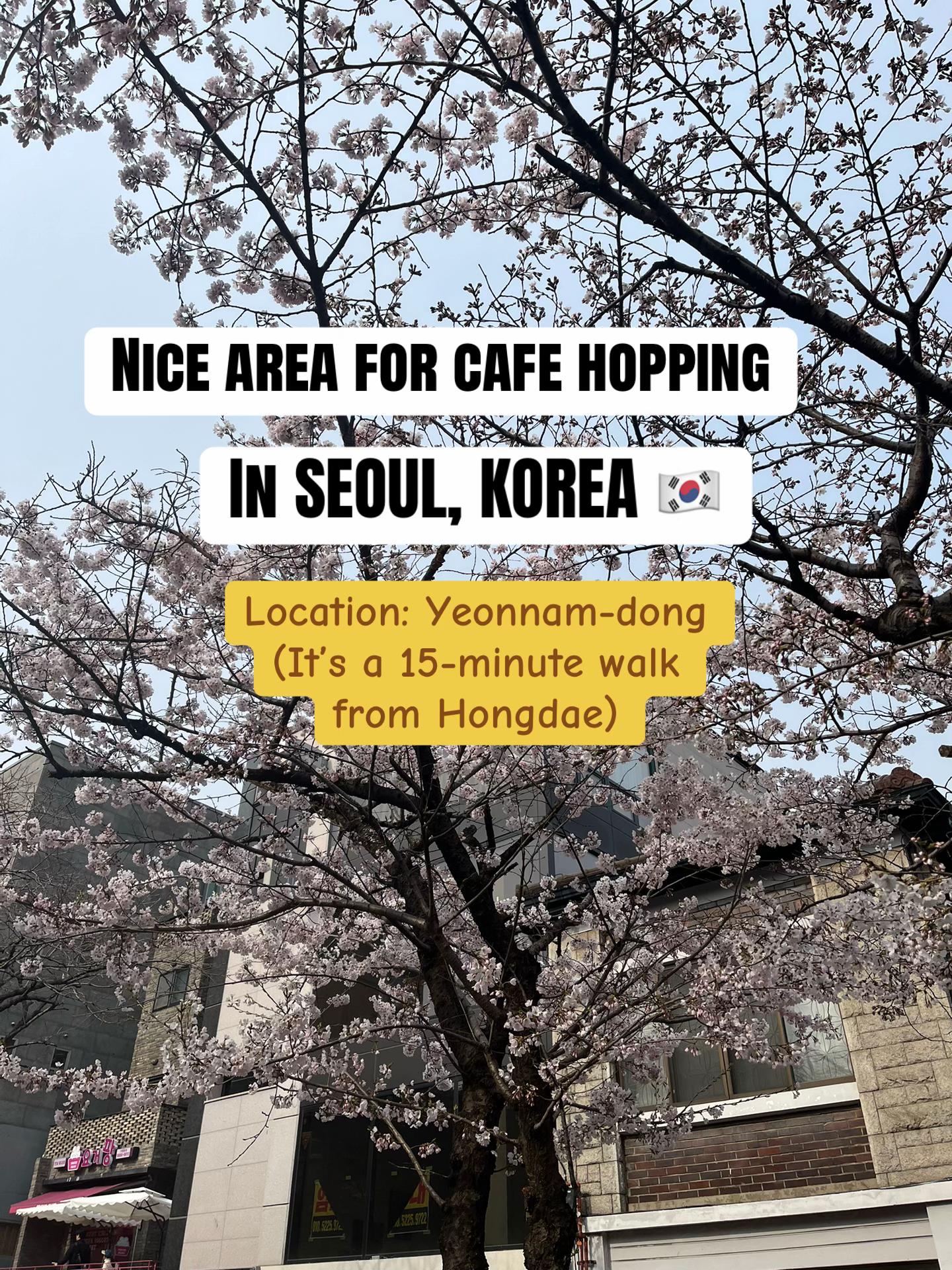 Asian Foodie, Hongdae Street
