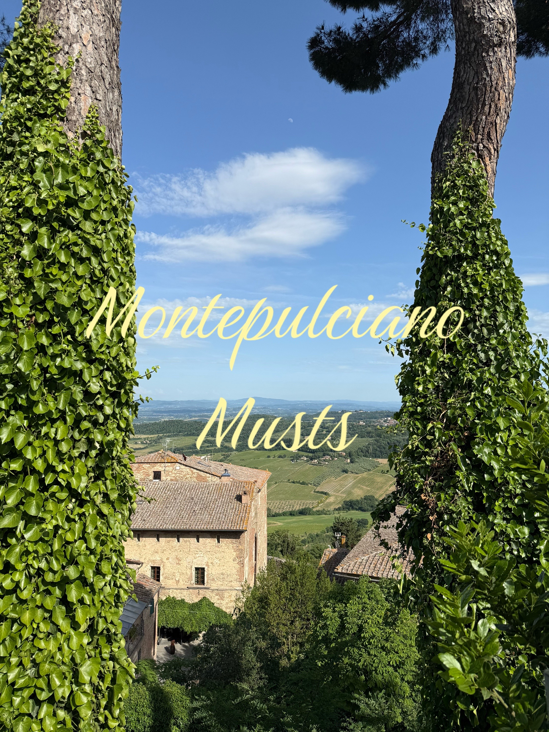 ✨Juj✨, Cantina Ercolani - Città Sotterranea & museo - Cantine storiche a Montepulciano - Azienda agricola
