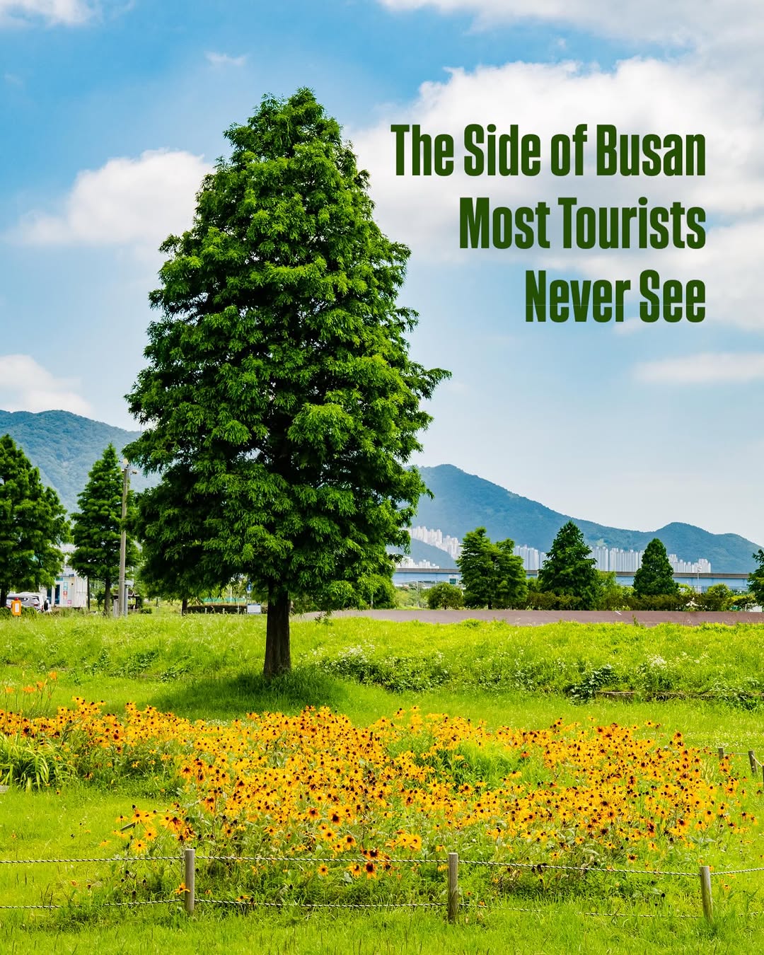 Busanpedia - All about South Korea, Samnak Ecological Park