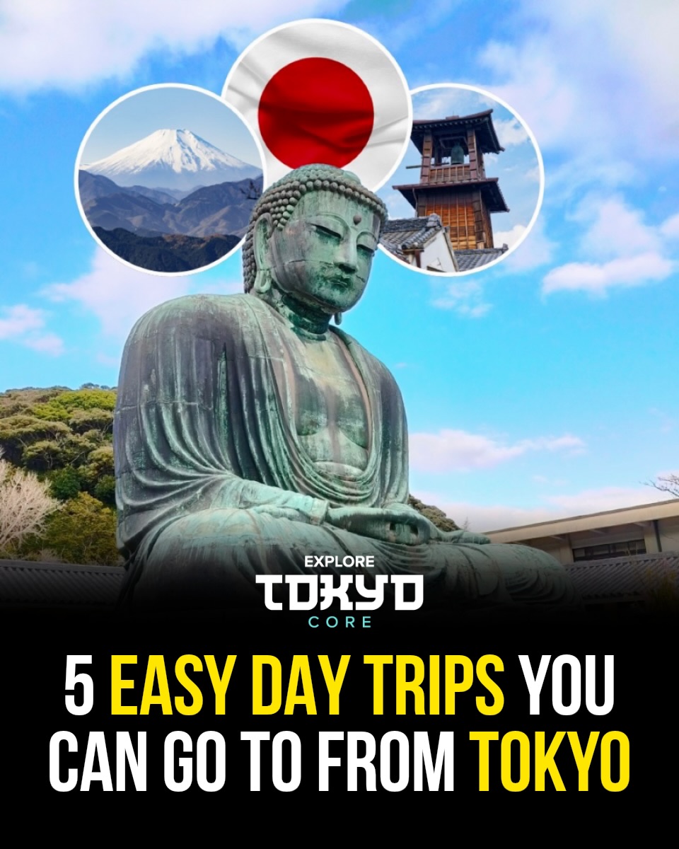 Tokyo, Japan🇯🇵 东京 Travel | Hotels | Food | Tips 🗼, Mount Fuji